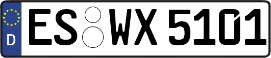 ES-WX5101