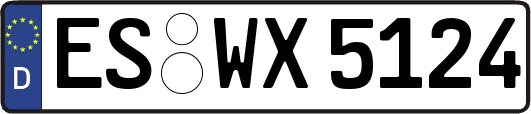 ES-WX5124
