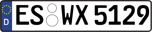 ES-WX5129
