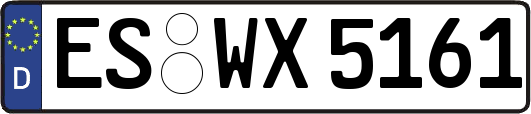 ES-WX5161