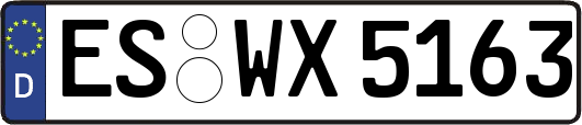ES-WX5163