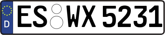 ES-WX5231