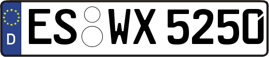 ES-WX5250