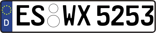 ES-WX5253