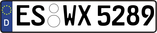 ES-WX5289