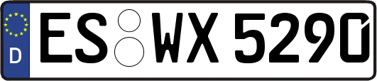 ES-WX5290