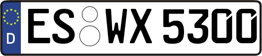 ES-WX5300
