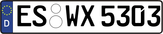 ES-WX5303