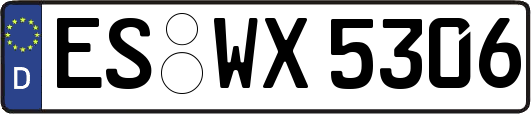 ES-WX5306