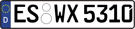 ES-WX5310
