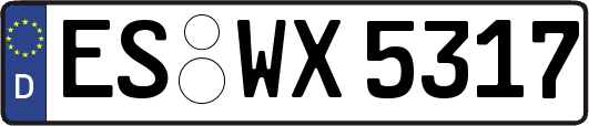 ES-WX5317