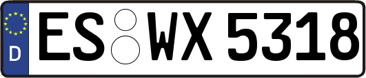 ES-WX5318
