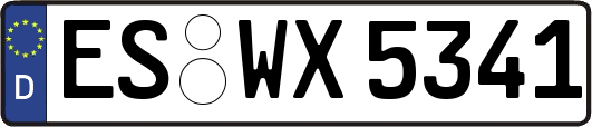 ES-WX5341