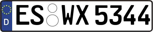 ES-WX5344