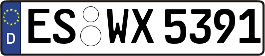 ES-WX5391