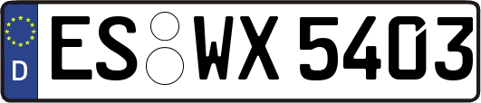 ES-WX5403