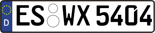 ES-WX5404
