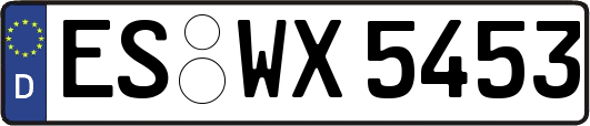 ES-WX5453