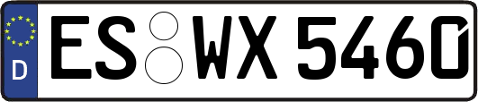 ES-WX5460