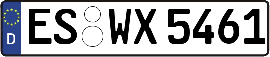 ES-WX5461