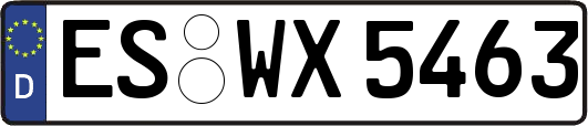 ES-WX5463
