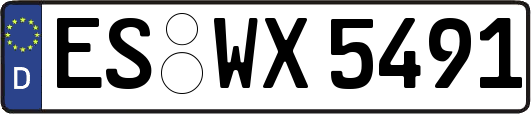 ES-WX5491
