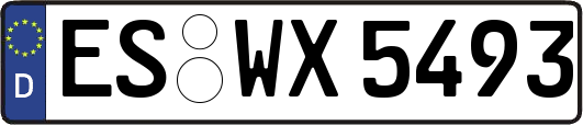 ES-WX5493