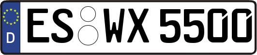 ES-WX5500