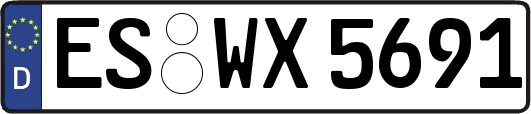 ES-WX5691