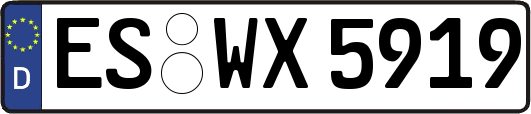 ES-WX5919