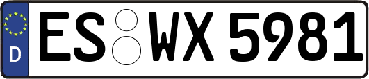 ES-WX5981