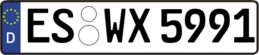 ES-WX5991
