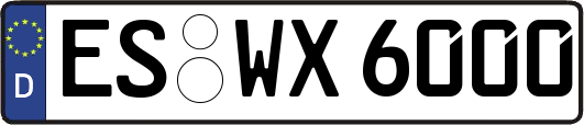 ES-WX6000