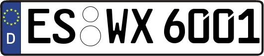 ES-WX6001