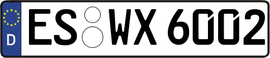 ES-WX6002