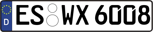 ES-WX6008