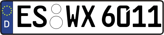 ES-WX6011