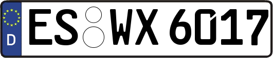 ES-WX6017