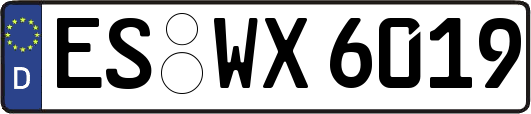 ES-WX6019