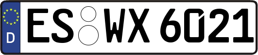 ES-WX6021