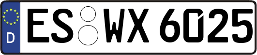 ES-WX6025