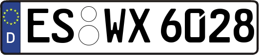 ES-WX6028