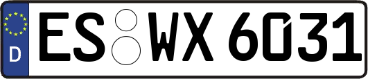 ES-WX6031