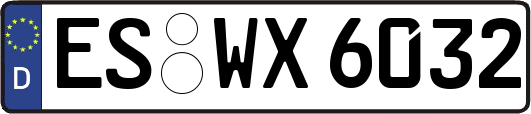 ES-WX6032