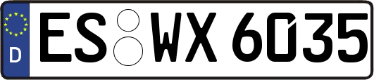 ES-WX6035