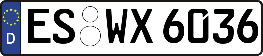 ES-WX6036