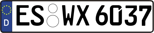 ES-WX6037