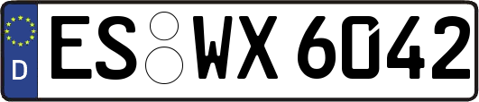 ES-WX6042