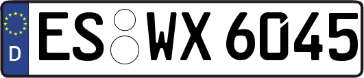 ES-WX6045