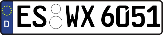 ES-WX6051